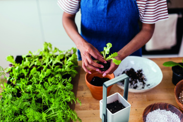 Logotrade mainostuotet kuva: Sisäpuutarha LED-valolla