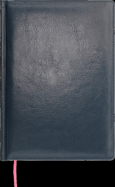 Логотрейд pекламные cувениры картинка: Ежедневник 642131