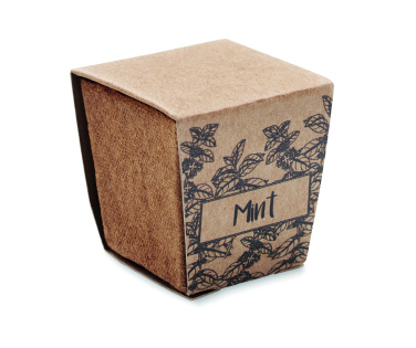 Логотрейд pекламные продукты картинка: Mint seeds growing kit
