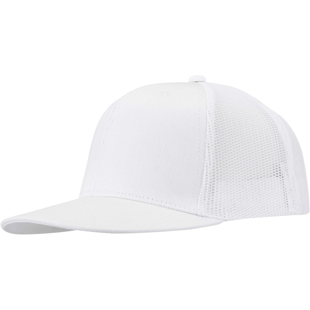 Логотрейд pекламные cувениры картинка: 6-панельная кепка Drift Snapback 260 г/м2
